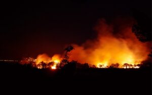 6aaa4f606dc0d_valtercirillo-fire-2730796